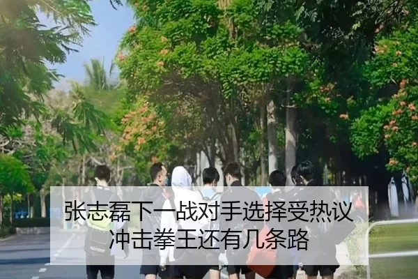 张志磊下一战对手选择受热议 冲击拳王还有几条路