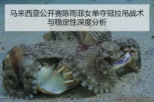 ma-lai-xi-ya-gong-kai-sai-chen-yu-fei-nv-dan-duo-guan-la-diao-zhan-shu-yu-wen-ding-xing-shen-du-fen-xi-2-233.jpg