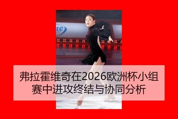 弗拉霍维奇在2026欧洲杯小组赛中进攻终结与协同分析